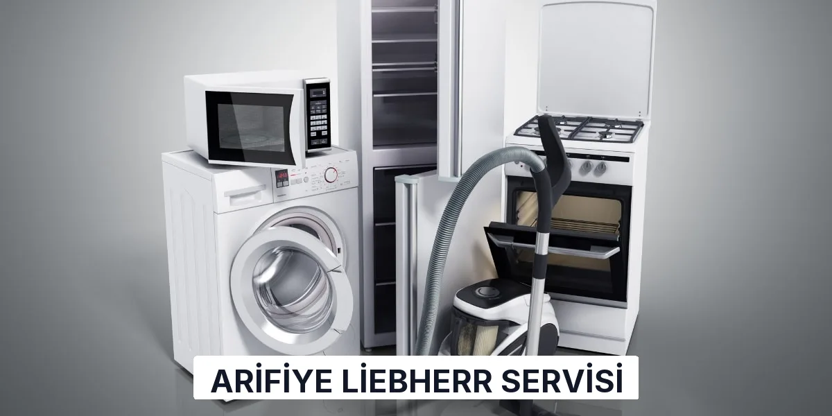 Arifiye Liebherr Servisi